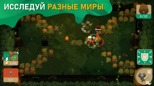 ������������� �����������