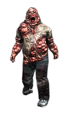 ������������� �����������