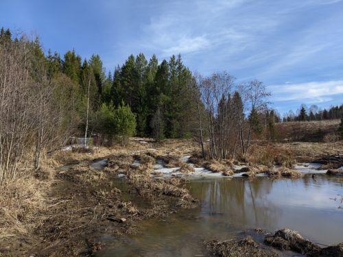 ������������� �����������