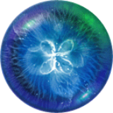 ������������� �����������