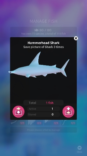 ������������� �����������