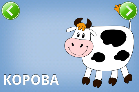 ������������� �����������