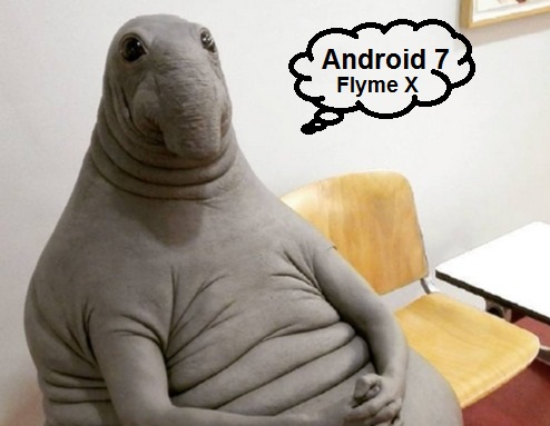 ������������� �����������