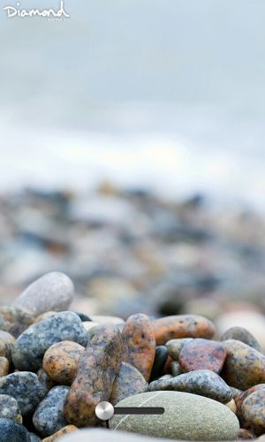 ������������� �����������