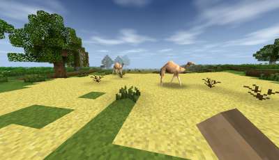 ������������� �����������