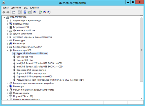������������� �����������