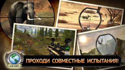 ������������� �����������