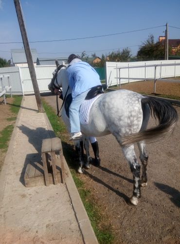 ������������� �����������