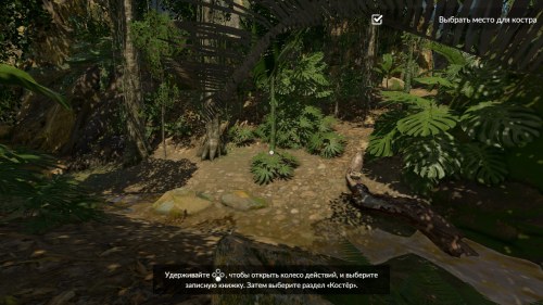 ������������� �����������