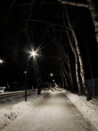 ������������� �����������