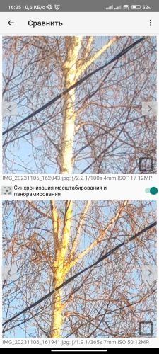 ������������� �����������