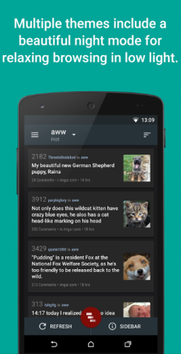 ������������� �����������