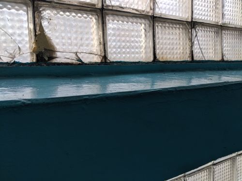 ������������� �����������