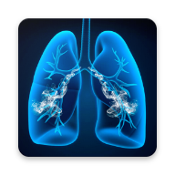 ������������� �����������