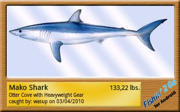 ������������� �����������