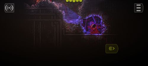 ������������� �����������