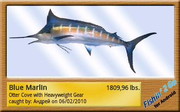 ������������� �����������