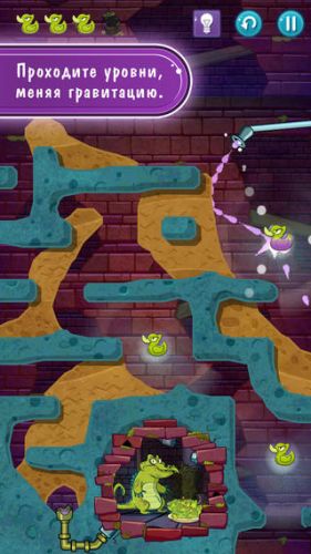 ������������� �����������