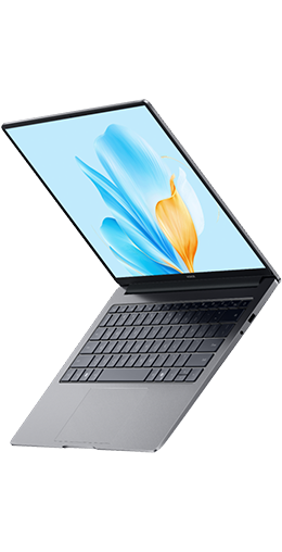 Honor MagicBook X16 2025