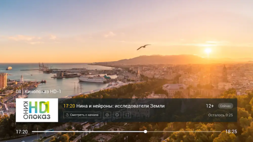 ������������� �����������