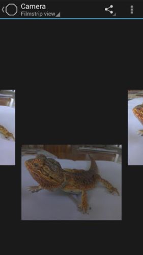 ������������� �����������