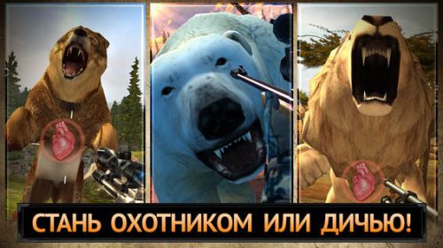 ������������� �����������