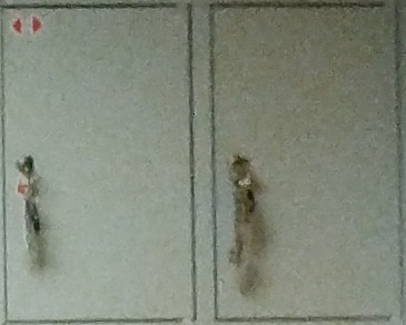 ������������� �����������