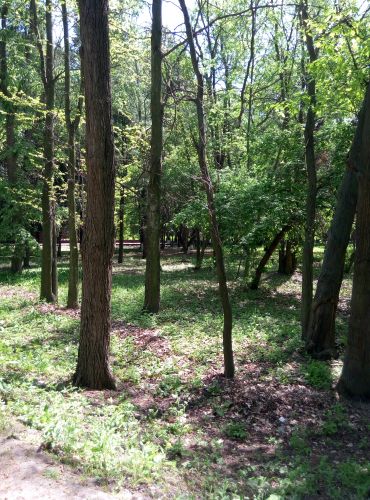 ������������� �����������