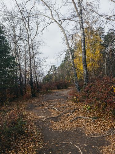 ������������� �����������