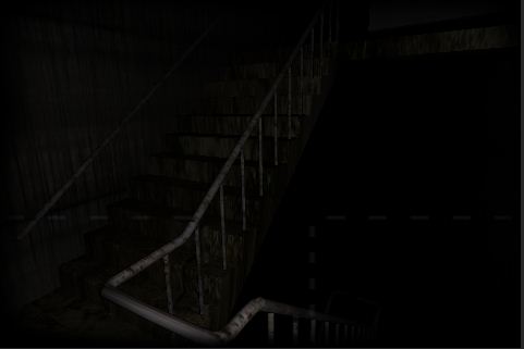 ������������� �����������