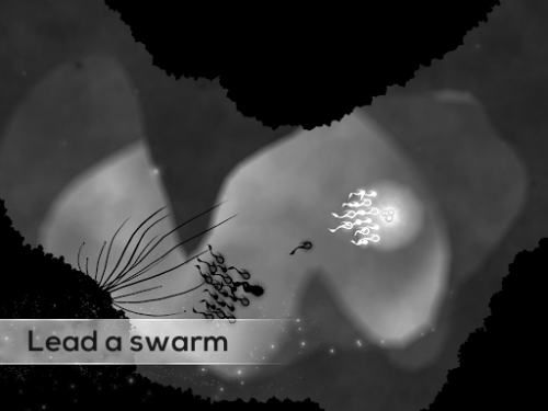 ������������� �����������