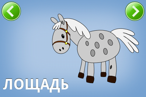 ������������� �����������