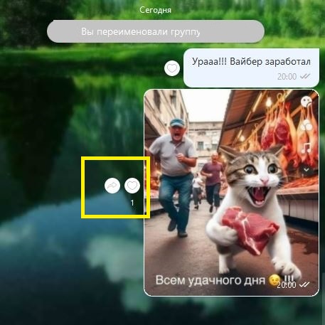 ������������� �����������