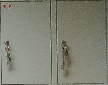 ������������� �����������