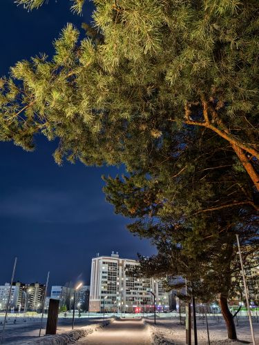 ������������� �����������