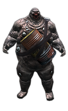 ������������� �����������