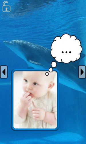 ������������� �����������