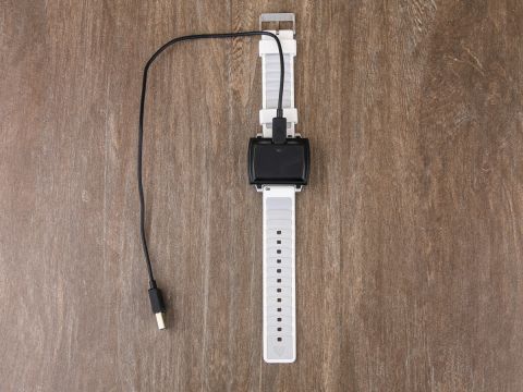 ����� Basis Peak: ������-������ ���� �����-����