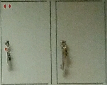 ������������� �����������