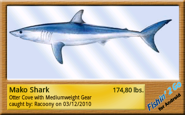 ������������� �����������