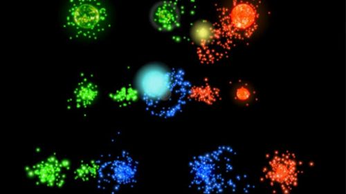 ������������� �����������